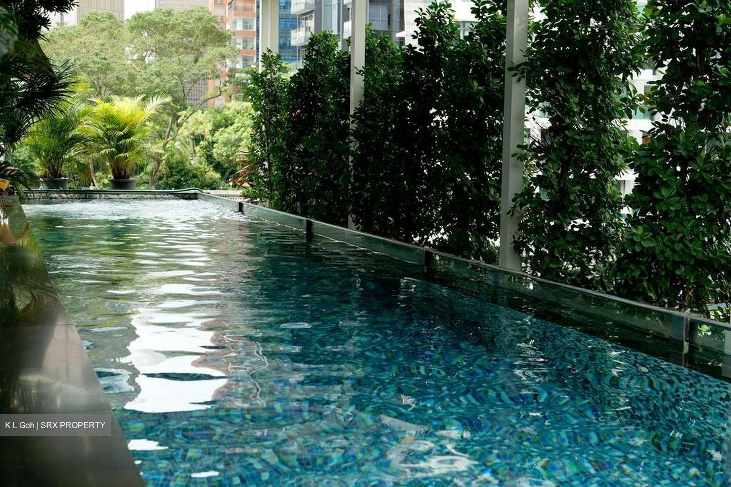 Cairnhill Road (D9), Terrace #584479011